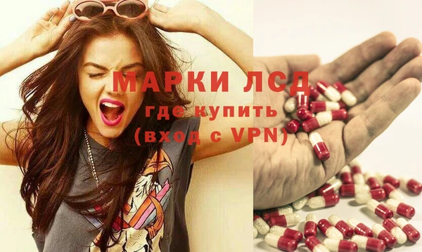 PSILOCYBIN Алзамай