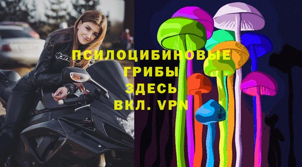 СК Алексеевка