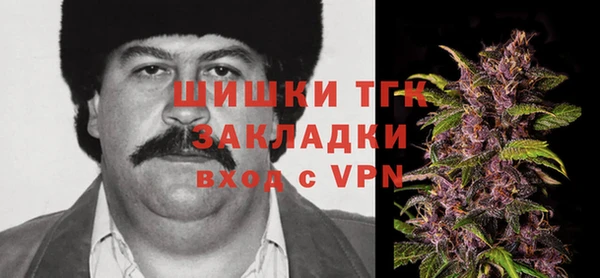 PSILOCYBIN Алзамай