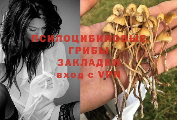 наркотики Абинск