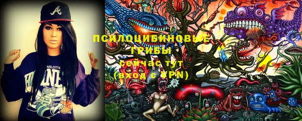 PSILOCYBIN Алзамай