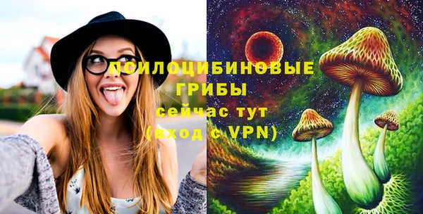 PSILOCYBIN Алзамай