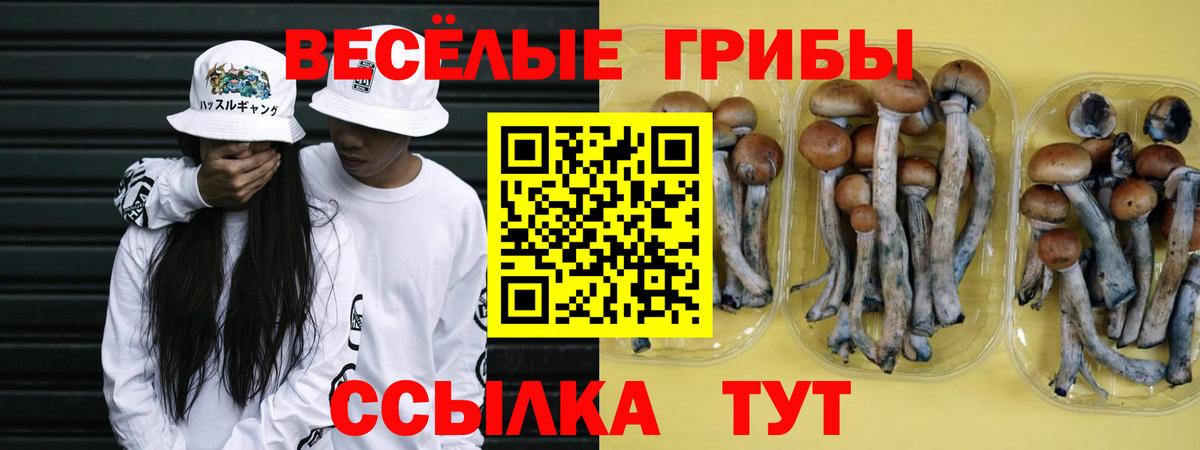 Галлюциногенные грибы мицелий  Вход с VPN  Кашира  купить   Галлюциногенные грибы GOLDEN TEACHER 
